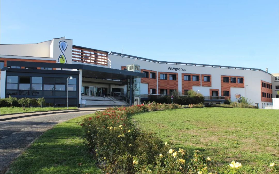 Études Economie de la construction, Structure, MOE et Fluides pour des modifications de cloisonnements au campus vétérinaire de VETAGRO à Marcy l&rsquo;Etoile (69)